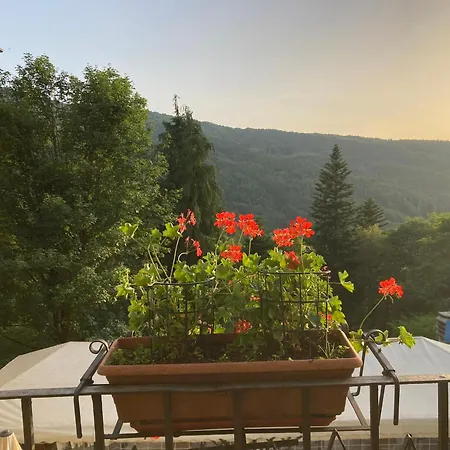 Bed & Breakfast B B Regina