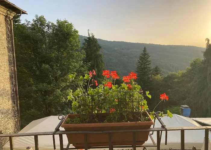 Bed & Breakfast B B Regina